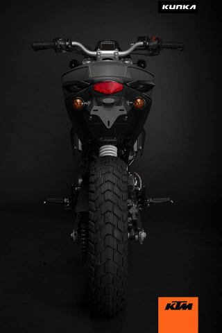 Illustration for article titled The KTM Duke 390 Is Going To Be A Customizer's Dream